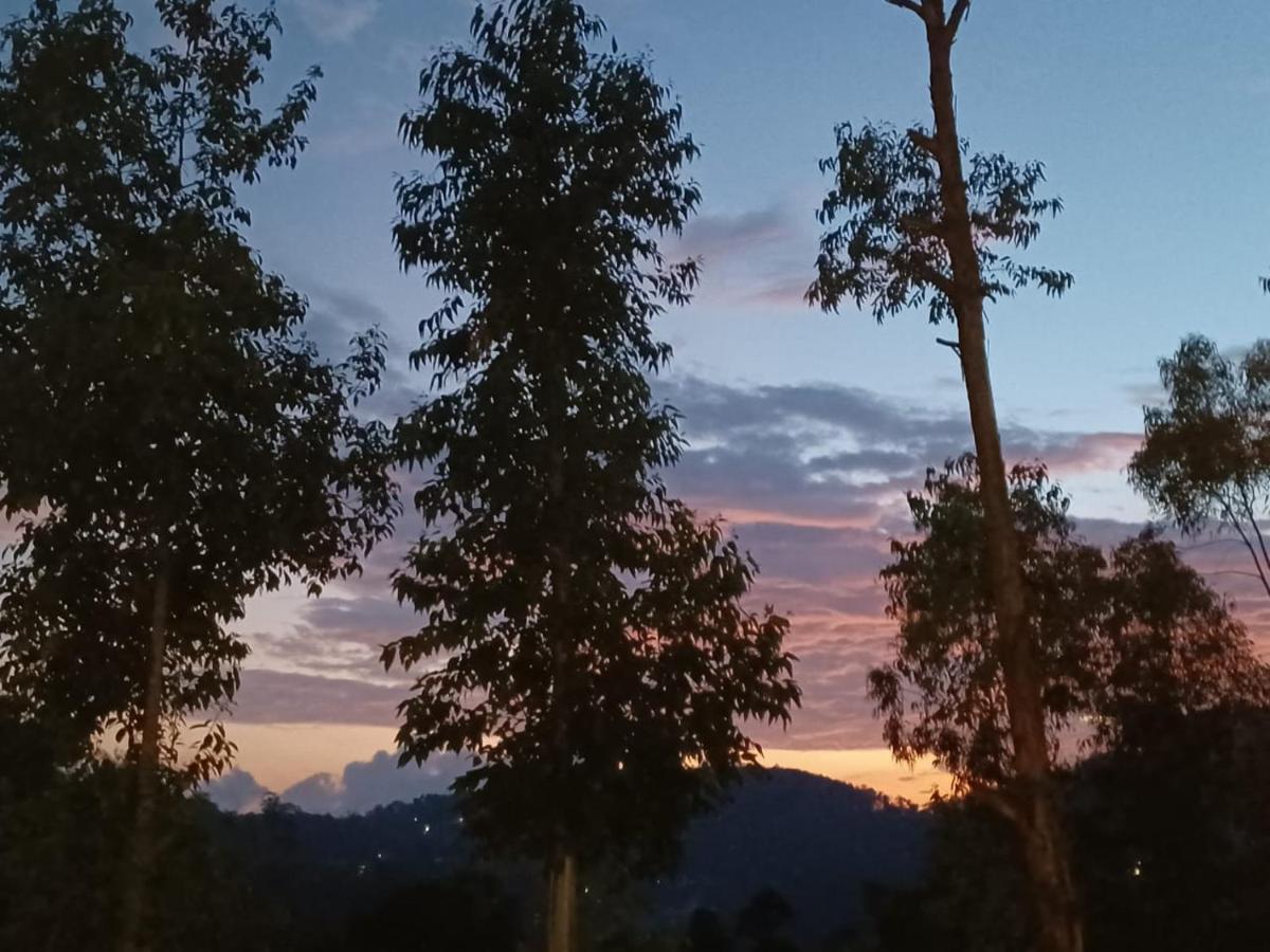 Lazy Bear Lodge Ella Bagian luar foto