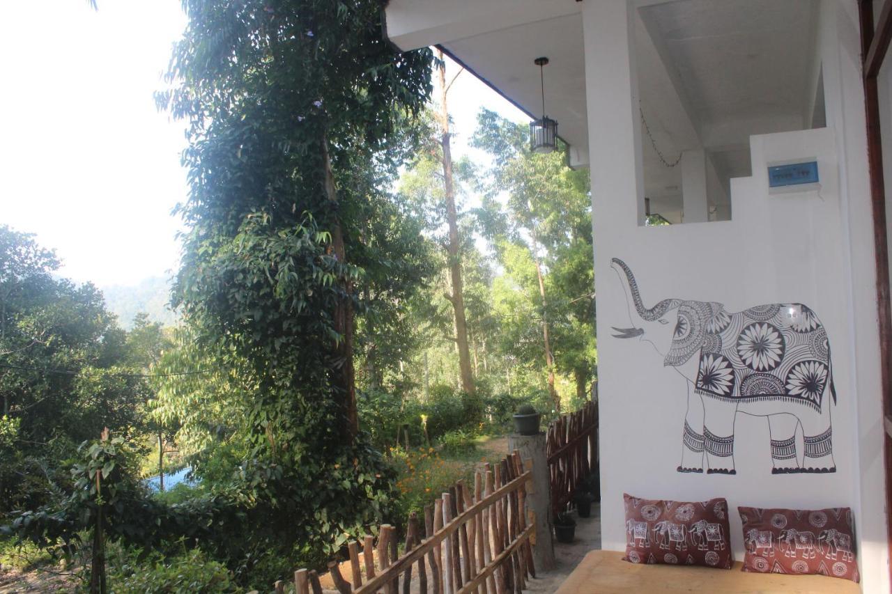 Lazy Bear Lodge Ella Bagian luar foto