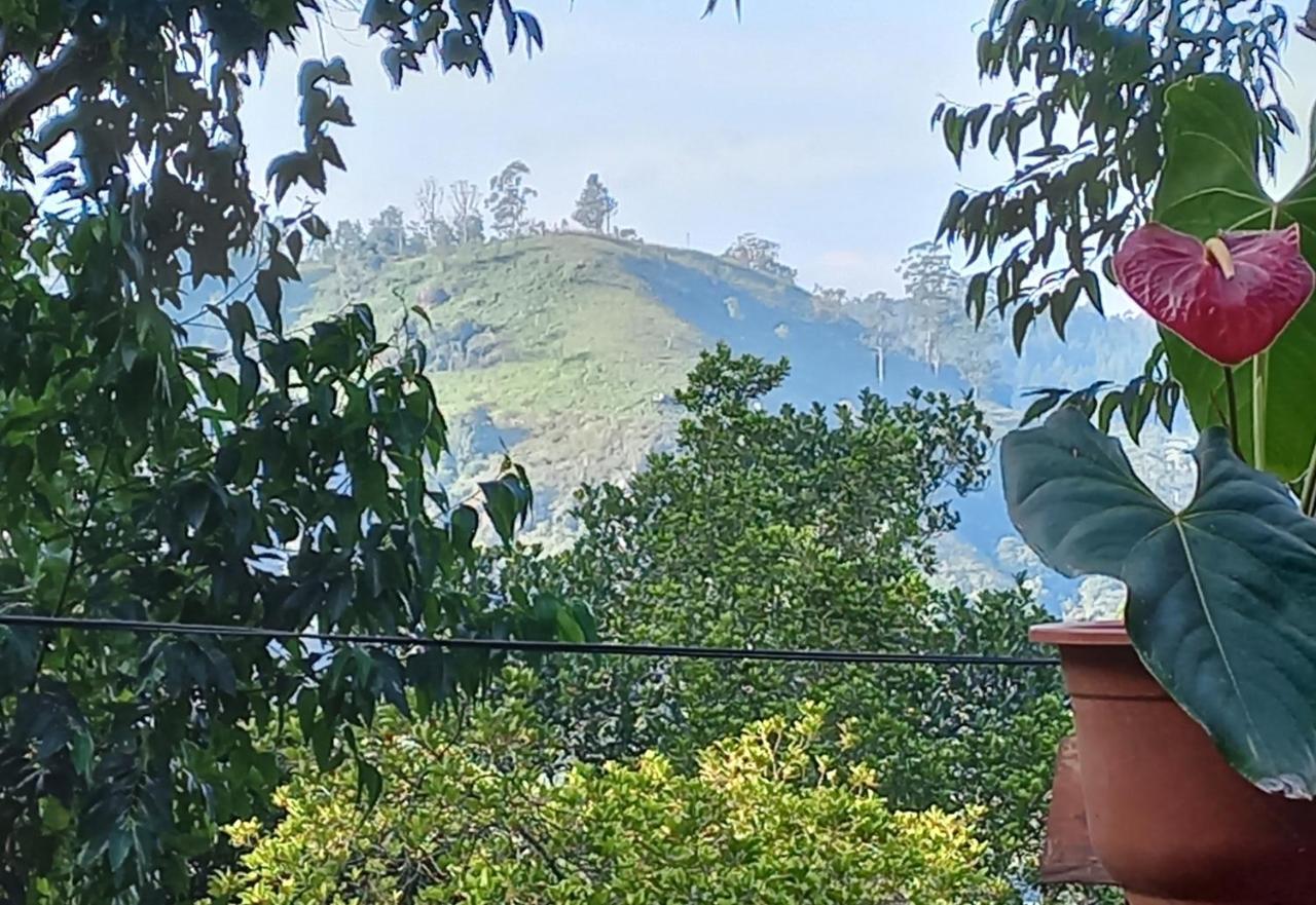 Lazy Bear Lodge Ella Bagian luar foto