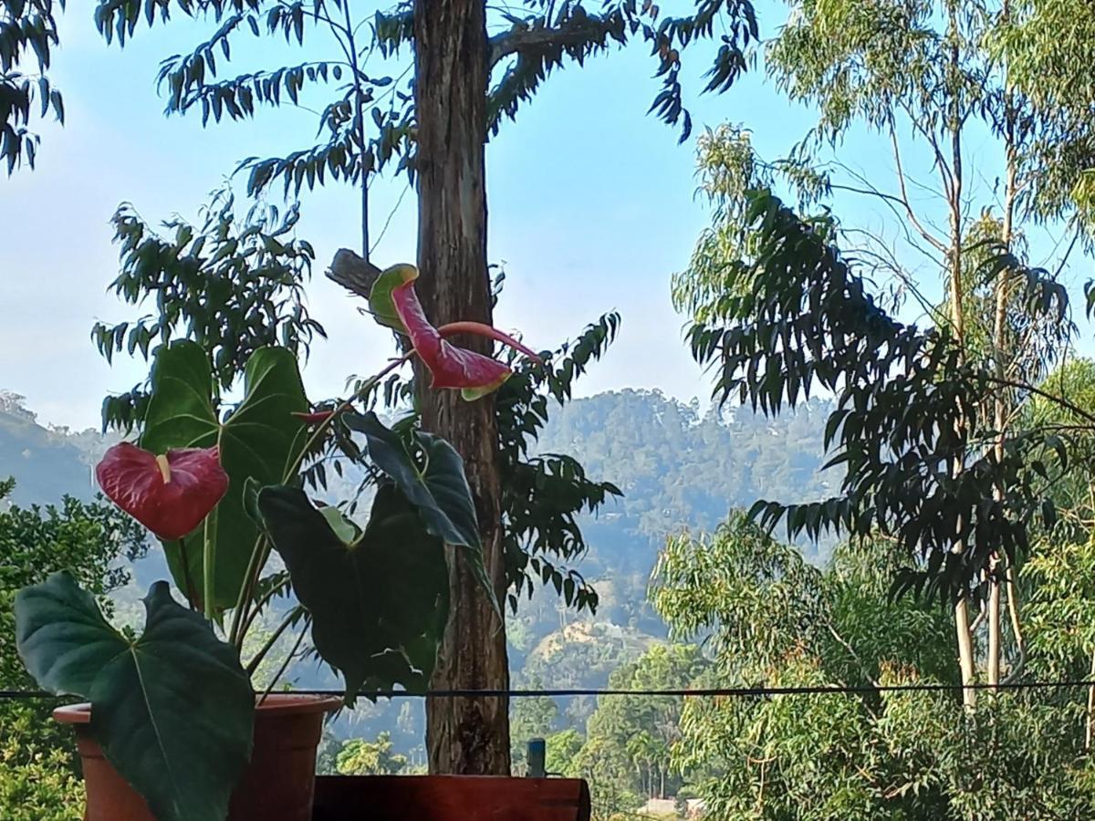 Lazy Bear Lodge Ella Bagian luar foto