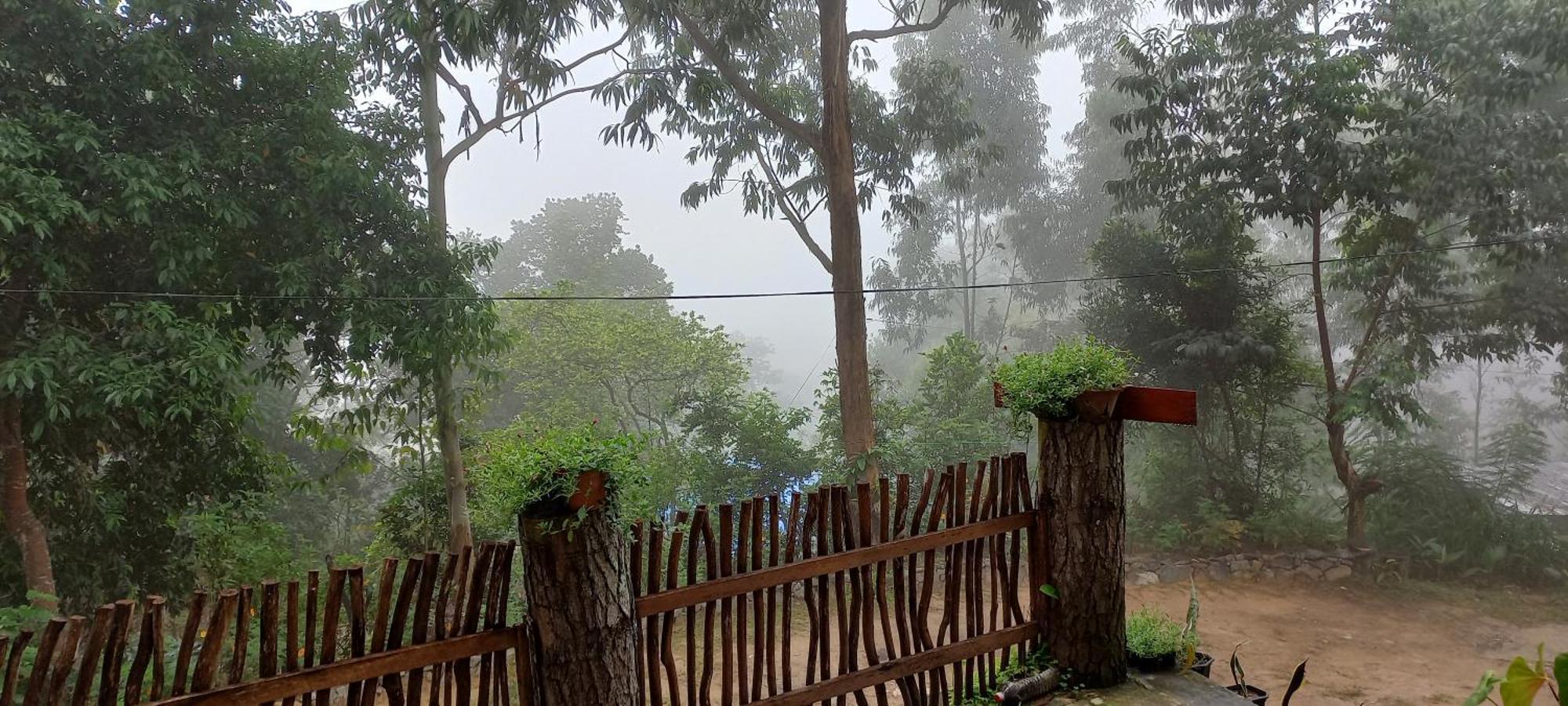 Lazy Bear Lodge Ella Ruang foto