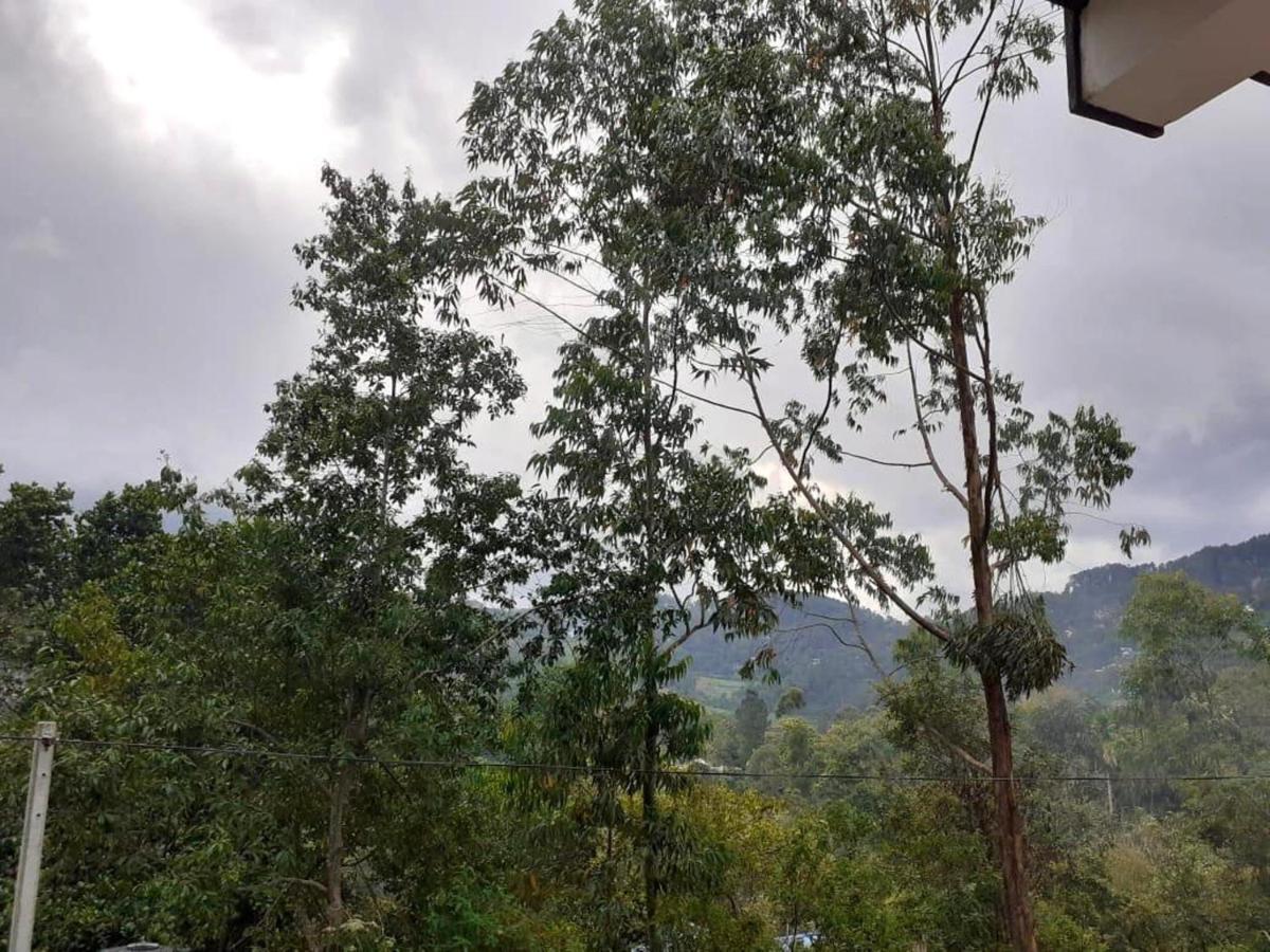 Lazy Bear Lodge Ella Bagian luar foto