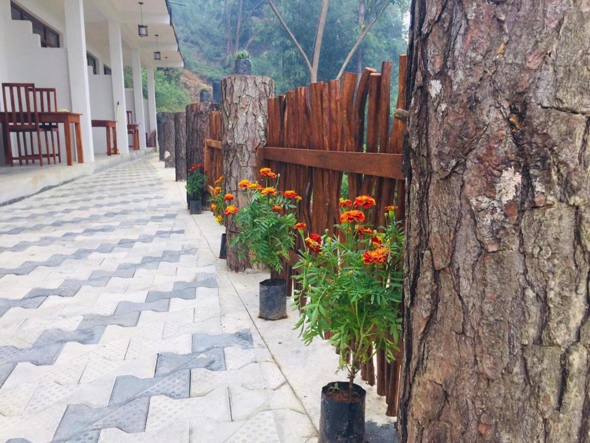 Lazy Bear Lodge Ella Bagian luar foto
